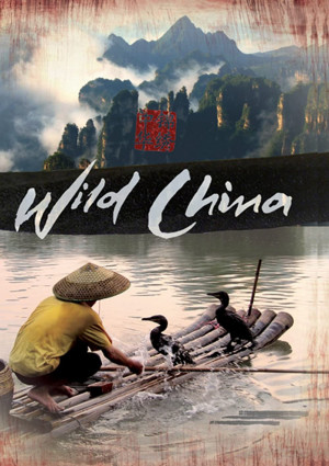 Thiên Nhiên Hoang Dã Trung Quốc - Wild China