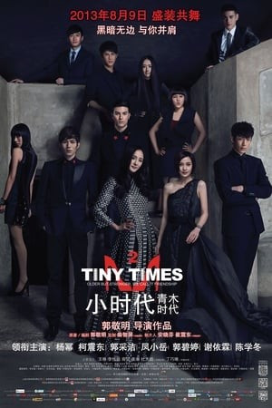 Tiểu Thời Đại 2 - Tiny Times 2