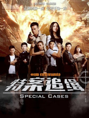 Truy Nã Đặc Biệt - Special Case Hunt